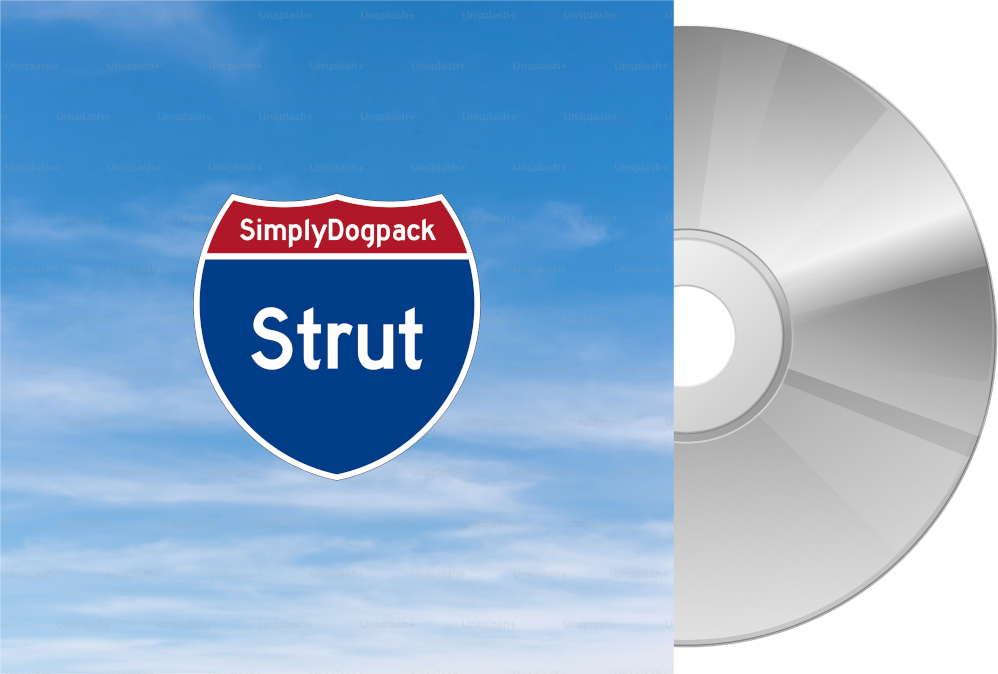 Strut Jewel Case CD Single